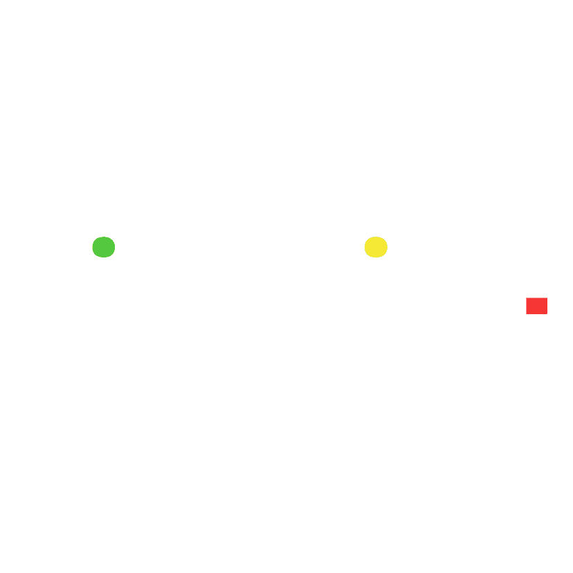 pingthing logo